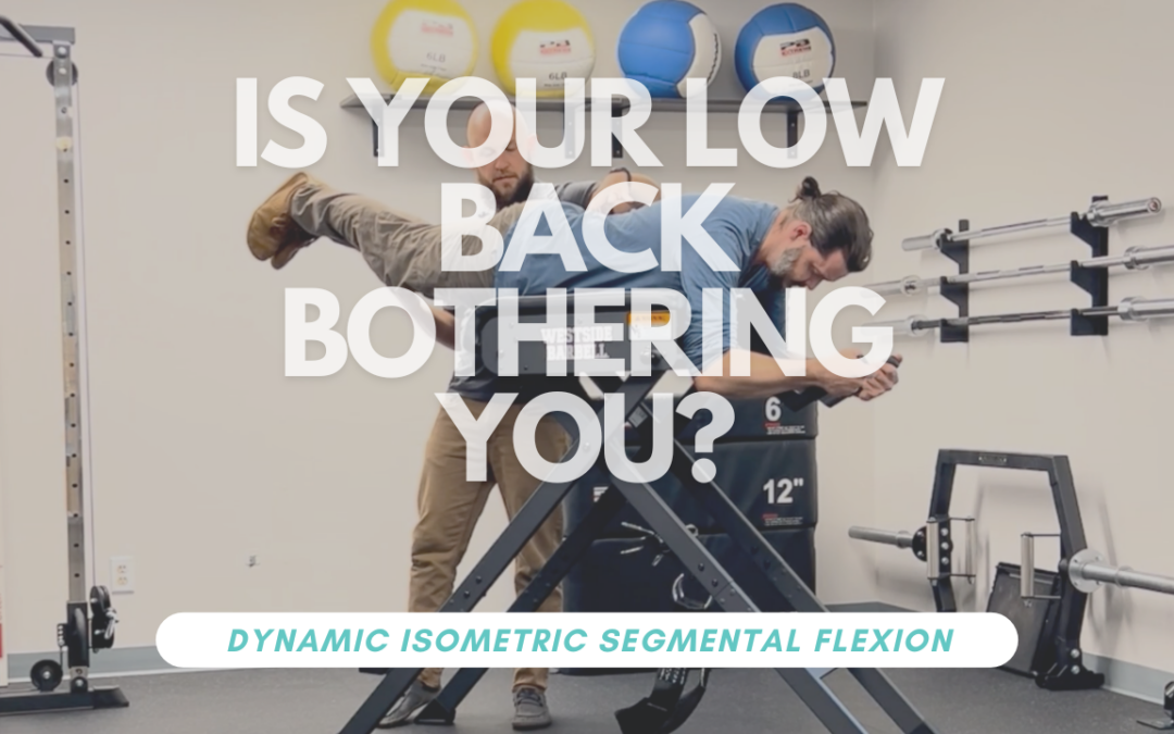 Building a Stronger Low Back: Dynamic Isometrics with the Reverse Hyper Machine